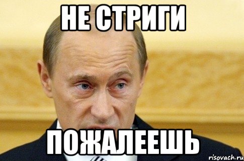 не стриги пожалеешь, Мем путин