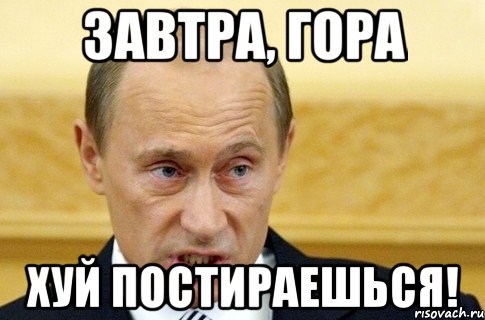 завтра, гора хуй постираешься!, Мем путин