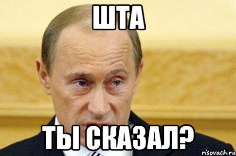 шта ты сказал?, Мем путин