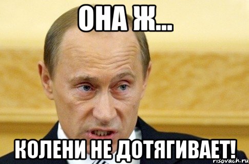 она ж... колени не дотягивает!, Мем путин