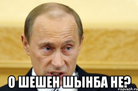  о шешен шынба не?, Мем путин