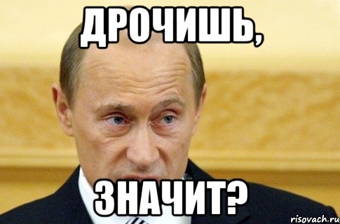 дрочишь, значит?, Мем путин