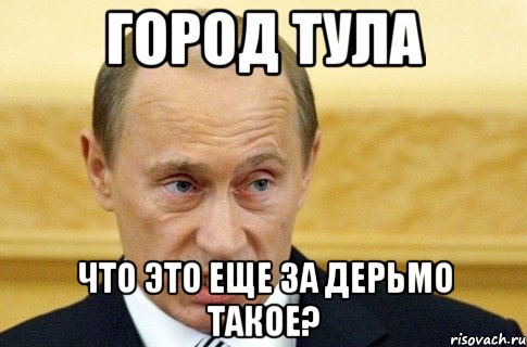 город тула что это еще за дерьмо такое?, Мем путин