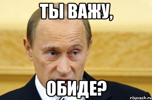 ты важу, обиде?, Мем путин