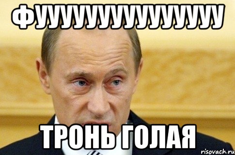 фууууууууууууууу тронь голая, Мем путин