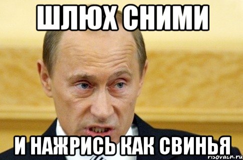 шлюх сними и нажрись как свинья, Мем путин