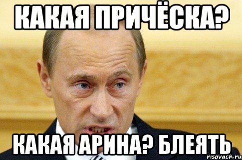 какая причёска? какая арина? блеять, Мем путин