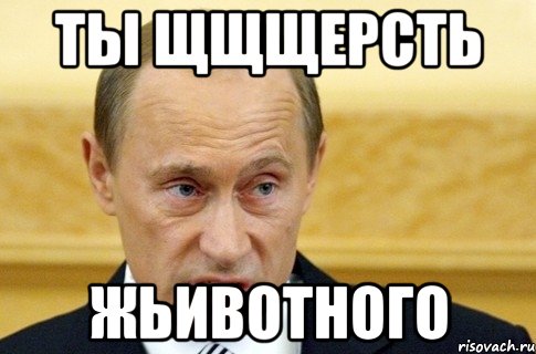 ты щщщерсть жьивотного, Мем путин