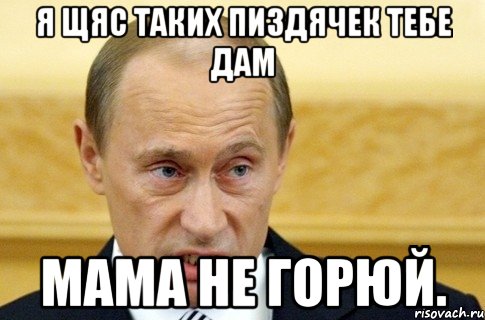 я щяс таких пиздячек тебе дам мама не горюй., Мем путин