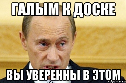 галым к доске вы уверенны в этом, Мем путин