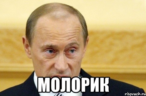  молорик, Мем путин