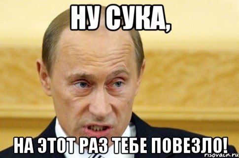 ну сука, на этот раз тебе повезло!, Мем путин