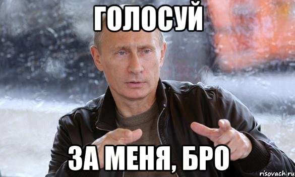 голосуй за меня, бро, Мем Путин