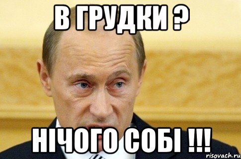 в грудки ? нічого собі !!!, Мем путин