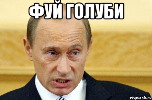 фуй голуби , Мем путин