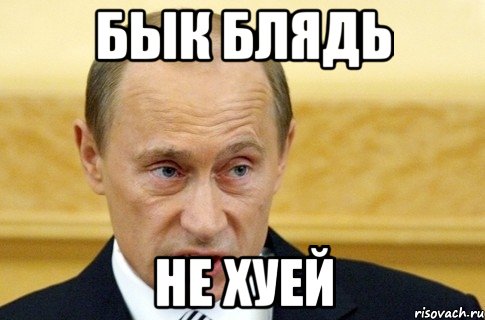 бык блядь не хуей, Мем путин