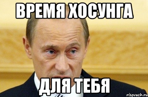 время хосунга для тебя, Мем путин