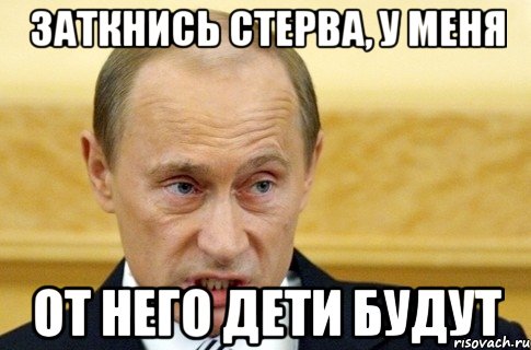 заткнись стерва, у меня от него дети будут, Мем путин