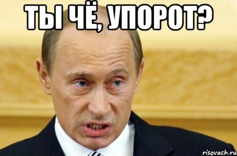 ты чё, упорот? , Мем путин