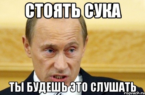 стоять сука ты будешь это слушать, Мем путин