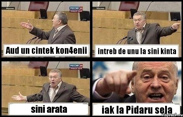 Aud un cintek kon4enii intreb de unu la sini kinta sini arata iak la Pidaru sela, Комикс с Жириновским