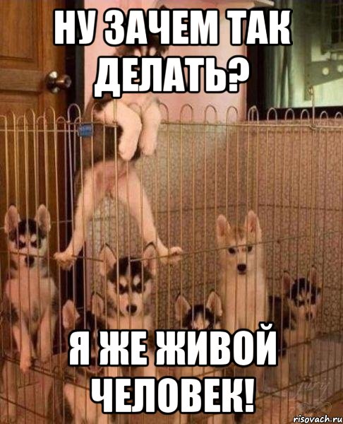 ну зачем так делать? я же живой человек!