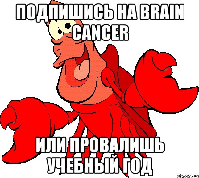 подпишись на brain cancer или провалишь учебный год, Мем Себастиаг