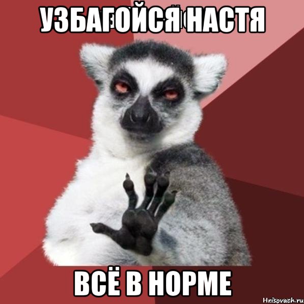 узбагойся настя всё в норме