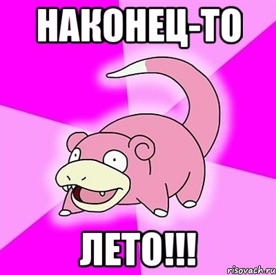 наконец-то лето!!!, Мем слоупок