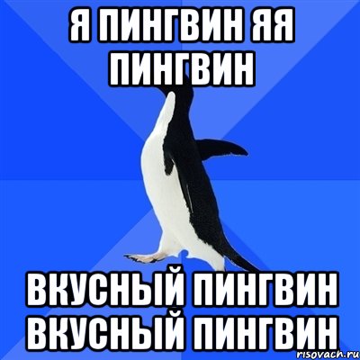 я пингвин яя пингвин вкусный пингвин вкусный пингвин, Мем  Социально-неуклюжий пингвин