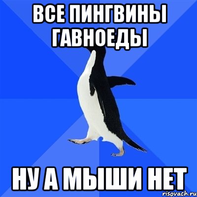 все пингвины гавноеды ну а мыши нет, Мем  Социально-неуклюжий пингвин