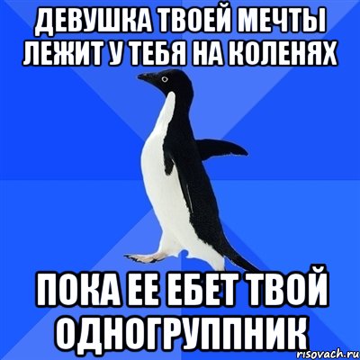 девушка твоей мечты лежит у тебя на коленях пока ее ебет твой одногруппник, Мем  Социально-неуклюжий пингвин