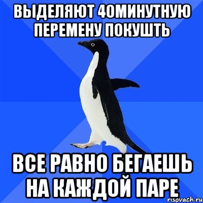 выделяют 40минутную перемену покушть все равно бегаешь на каждой паре, Мем  Социально-неуклюжий пингвин