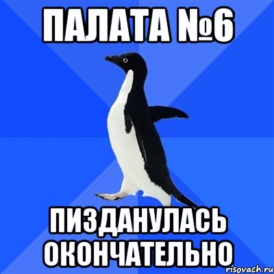 палата №6 пизданулась окончательно, Мем  Социально-неуклюжий пингвин