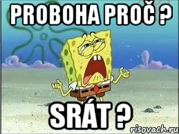 proboha proč ? srát ?, Мем Спанч Боб плачет