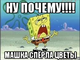 ну почему!!! машка спёрла цветы, Мем Спанч Боб плачет