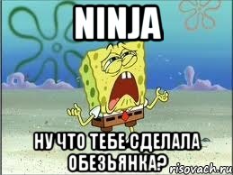 ninja ну что тебе сделала обезьянка?, Мем Спанч Боб плачет