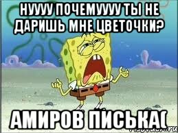 нуууу почемуууу ты не даришь мне цветочки? амиров писька(, Мем Спанч Боб плачет