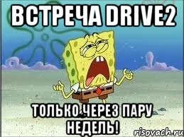 встреча drive2 только через пару недель!, Мем Спанч Боб плачет