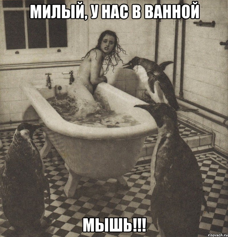 милый, у нас в ванной мышь!!!, Мем Столбняк