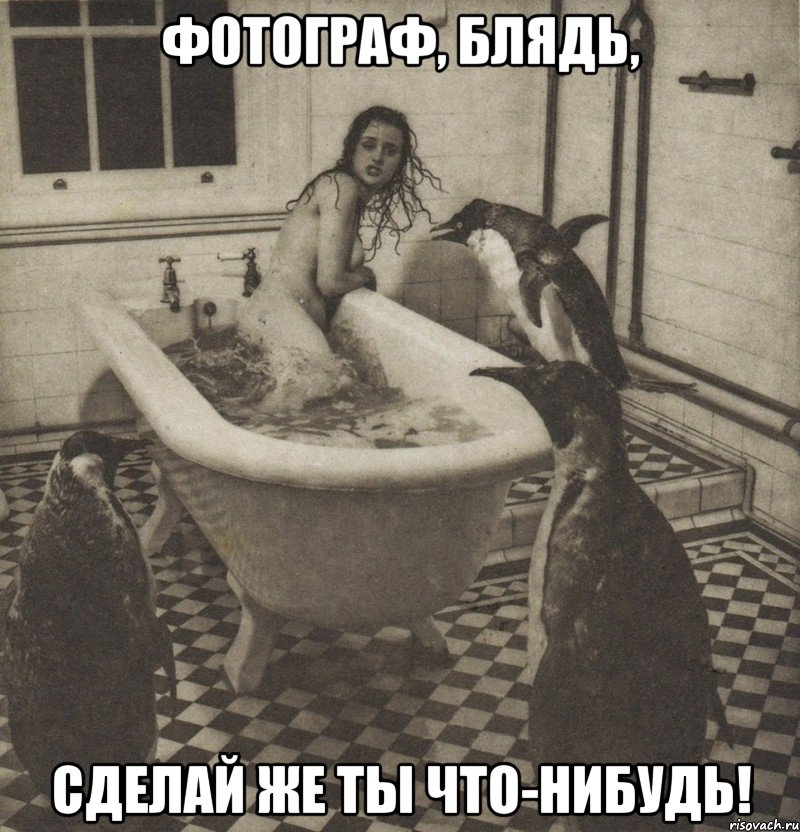 фотограф, блядь, сделай же ты что-нибудь!, Мем Столбняк