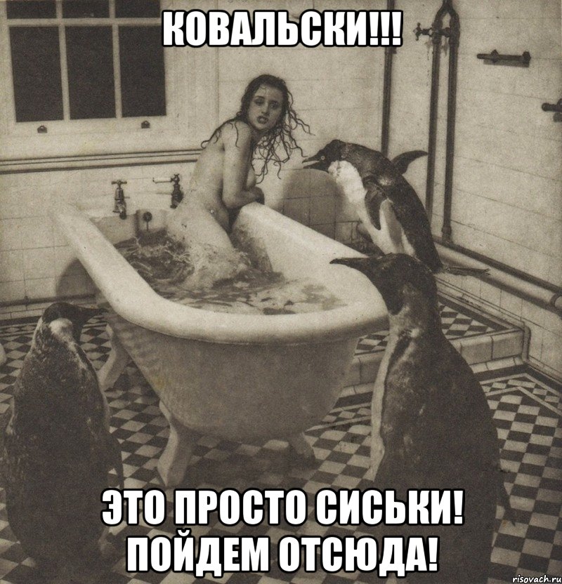 ковальски!!! это просто сиськи! пойдем отсюда!, Мем Столбняк