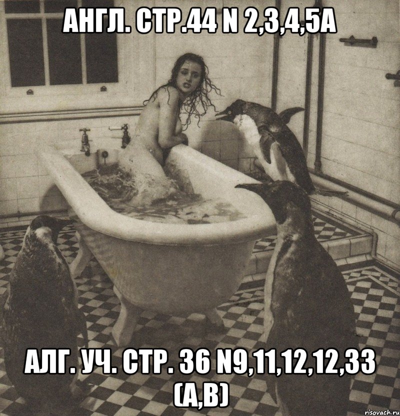 англ. стр.44 n 2,3,4,5a алг. уч. стр. 36 n9,11,12,12,33 (a,b), Мем Столбняк