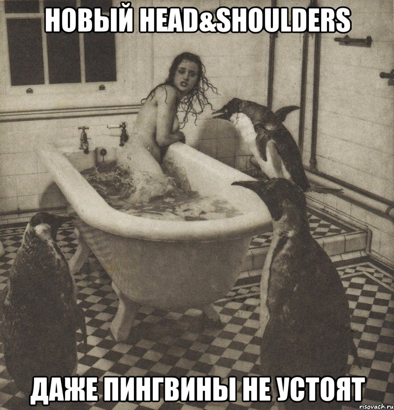 новый head&shoulders даже пингвины не устоят