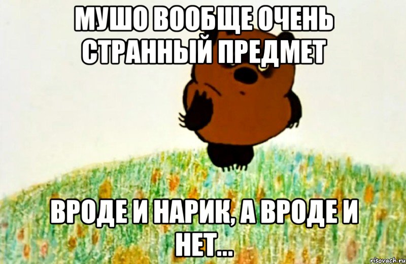 мушо вообще очень странный предмет вроде и нарик, а вроде и нет..., Мем ВИННИ ПУХ