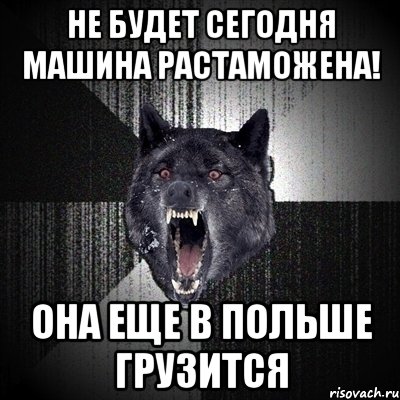 не будет сегодня машина растаможена! она еще в польше грузится, Мем Сумасшедший волк