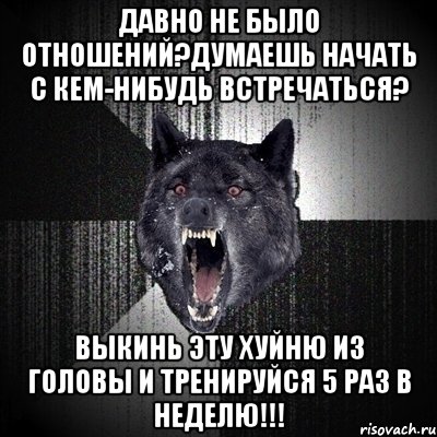 давно не было отношений?думаешь начать с кем-нибудь встречаться? выкинь эту хуйню из головы и тренируйся 5 раз в неделю!!!, Мем Сумасшедший волк