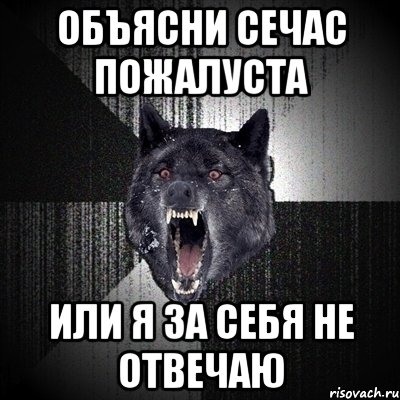 объясни сечас пожалуста или я за себя не отвечаю, Мем Сумасшедший волк