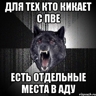 для тех кто кикает с пве есть отдельные места в аду, Мем Сумасшедший волк