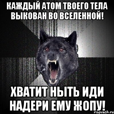 каждый атом твоего тела выкован во вселенной! хватит ныть иди надери ему жопу!, Мем Сумасшедший волк